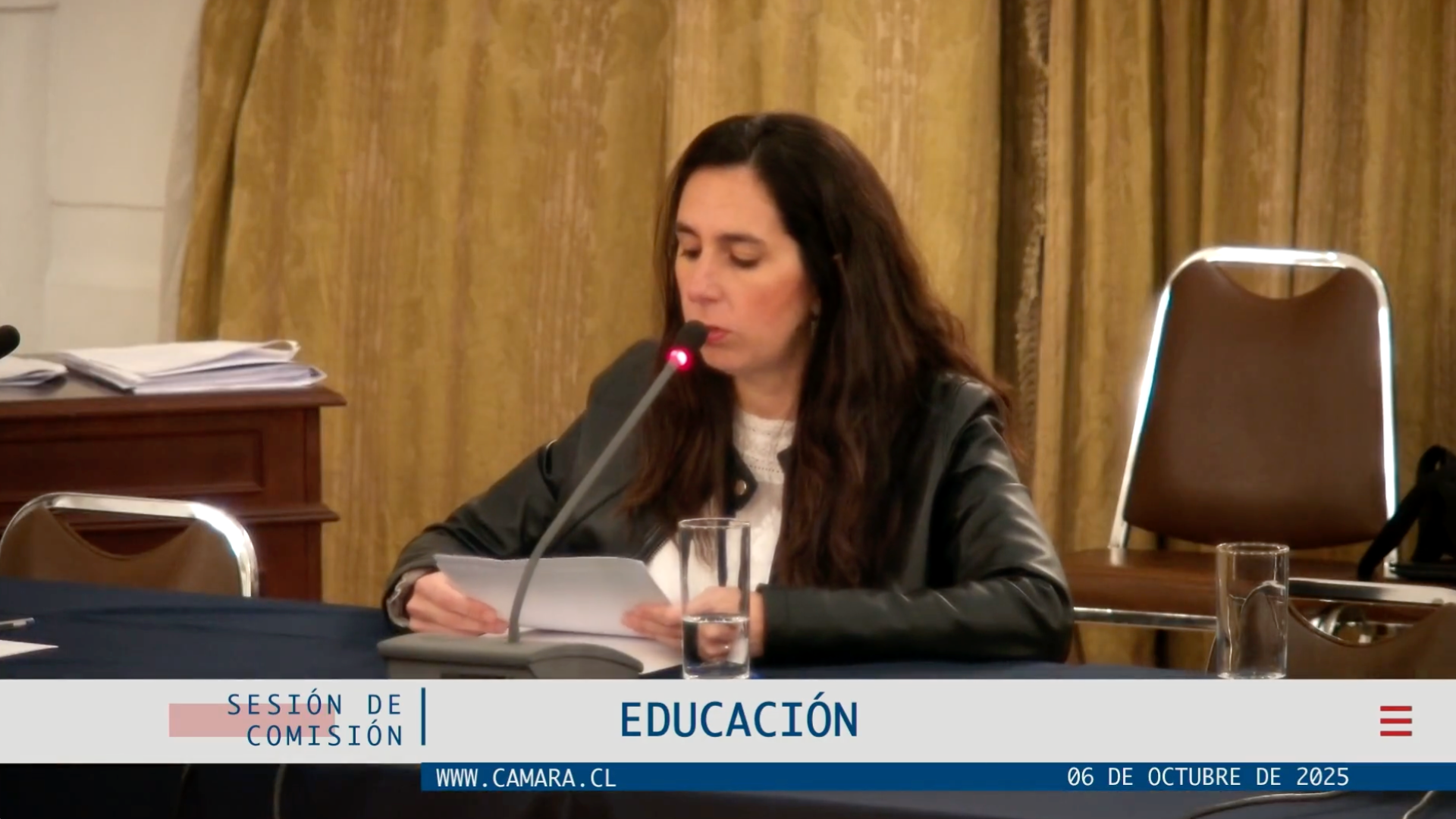 Francisca Figueroa en la Comisión de Educación: propuestas para fortalecer la educación pública