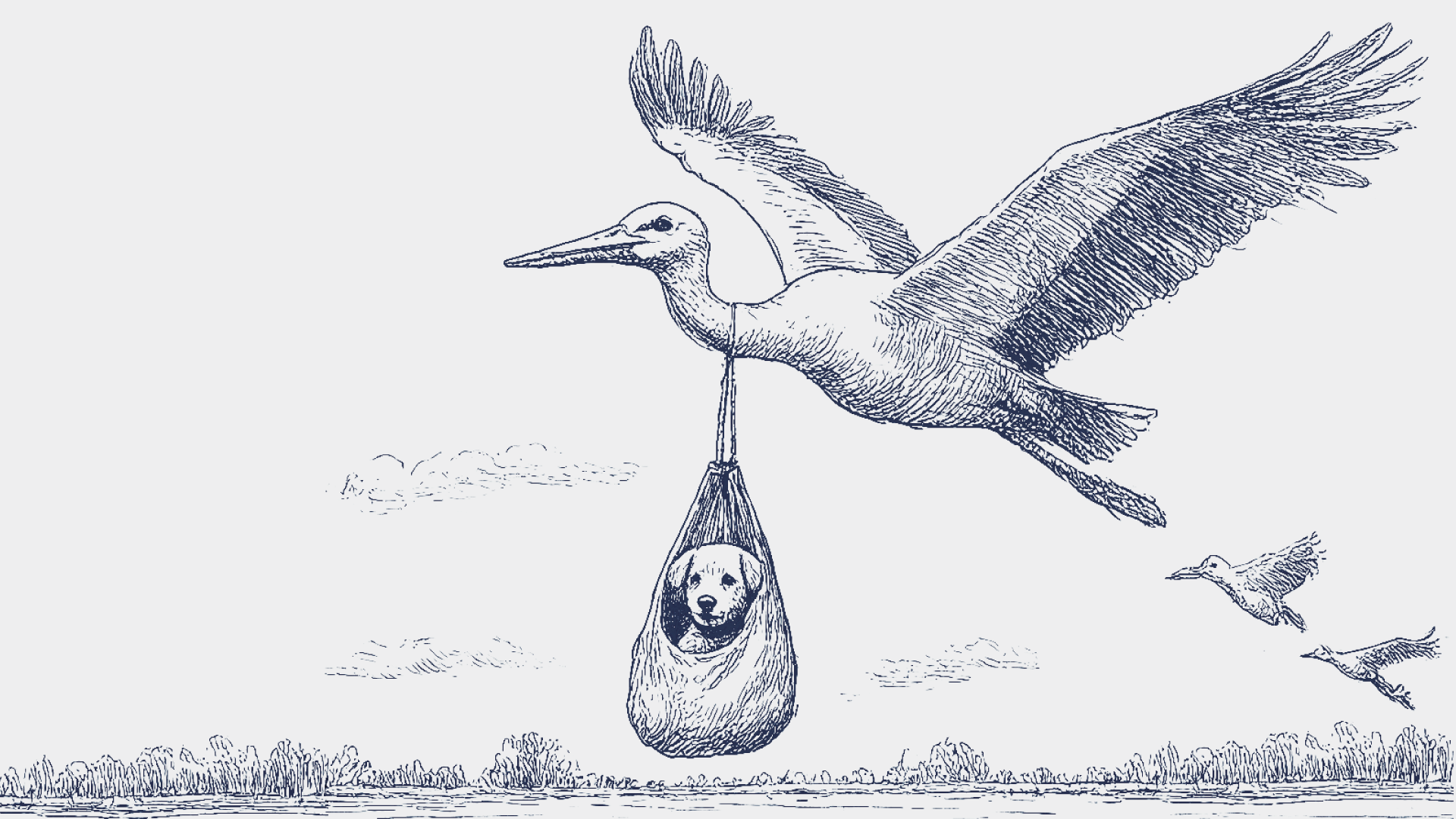 Estudio Crisis de Natalidad: Una radiografía sobre sus causas, consecuencias y orientaciones de política pública