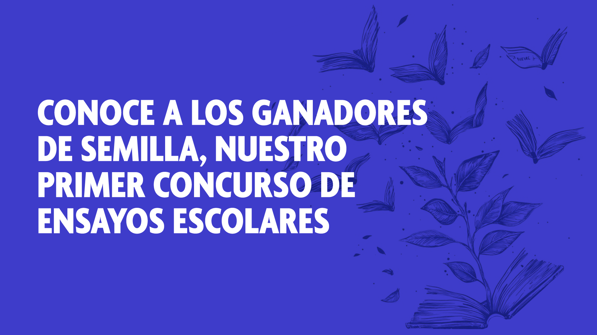 Estudiante del Colegio Sagrados Corazones de Alameda obtiene el primer lugar en Semilla, concurso de ensayos escolares de IdeaPaís